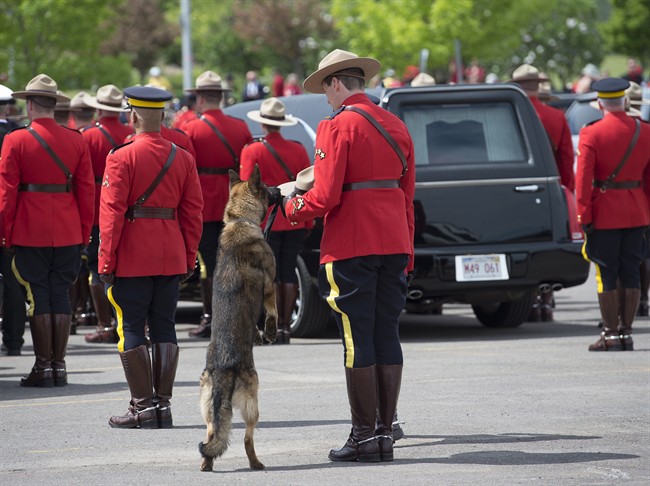 RCMP police dog Danny sniffs the Stetson of his partner, slain Const. David Ross, during the funeral procession for the three RCMP officers who were killed in the line of duty, at their regimental funeral at the Moncton Coliseum in Moncton, N.B. on Tuesday, June 10, 2014. THE CANADIAN PRESS/Andrew Vaughan 