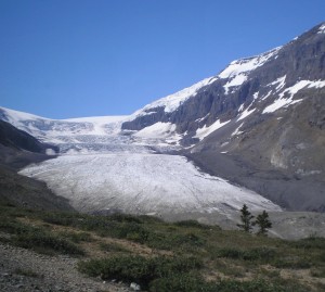 A body was recovered from Athabasca Glacier after having been missing for 19 years. Image: wikimedia commons